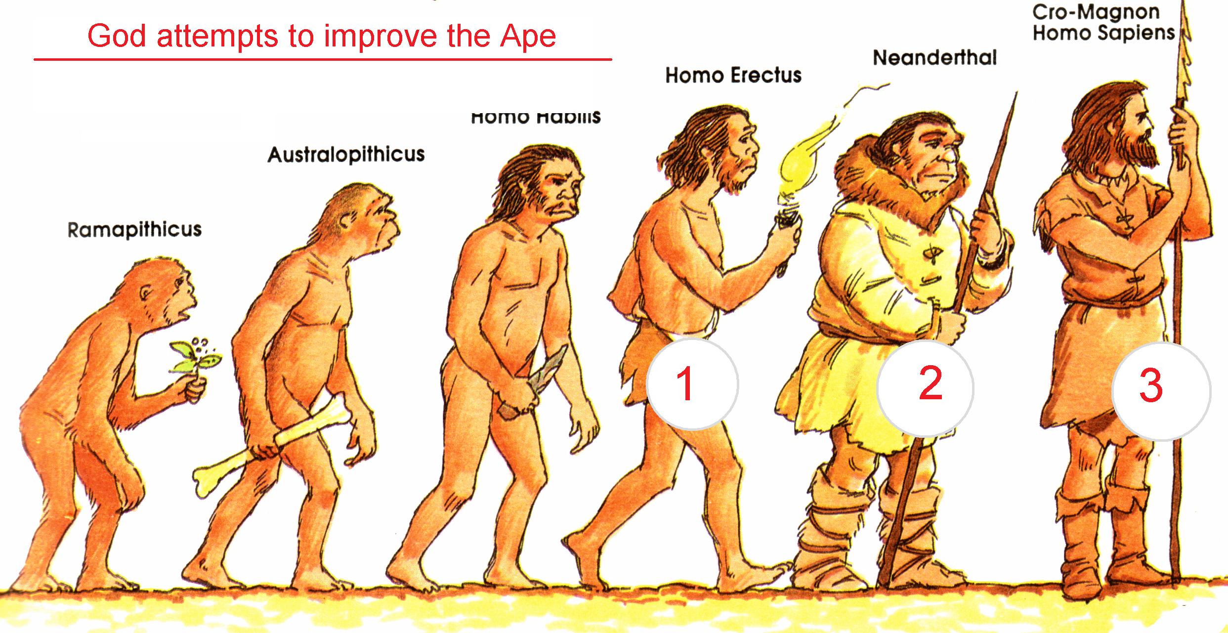Эволюция человека homo sapiens